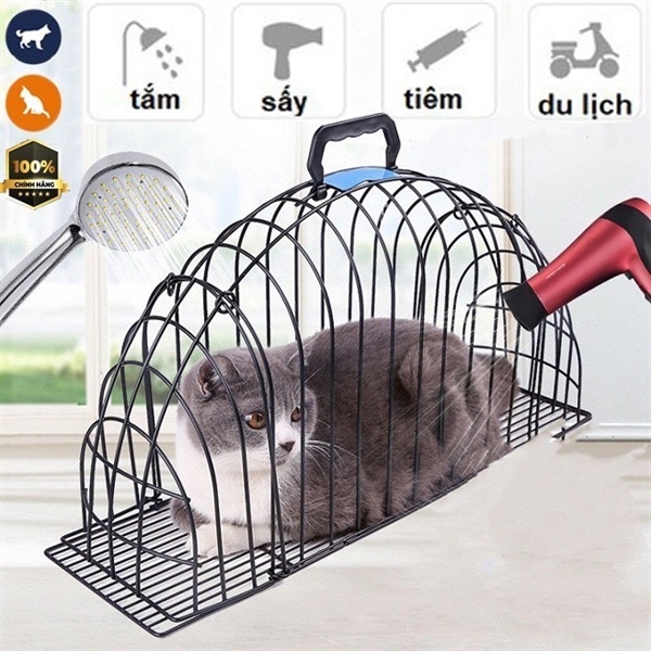 841